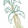 Outline Summer Time Set 2 10 Machine Embroidery Designs - Image 6