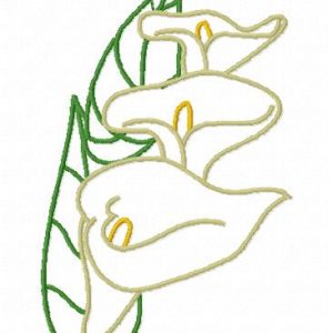 Calas Borders Set 2 10 Machine Embroidery Designs