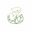 Calas Borders Set 1 10 Machine Embroidery Designs - Image 7