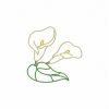 Calas Borders Set 1 10 Machine Embroidery Designs - Image 8