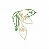 Calas Borders Set 1 10 Machine Embroidery Designs - Image 10