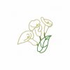 Calas Borders Set 1 10 Machine Embroidery Designs - Image 2