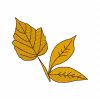 Fall Leaves 17 Machine Embroidery Designs - Image 4