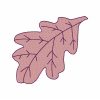Fall Leaves 17 Machine Embroidery Designs - Image 6
