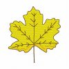 Fall Leaves 17 Machine Embroidery Designs - Image 8