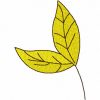 Fall Leaves 17 Machine Embroidery Designs - Image 14