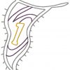 Racing Car Set 10 Machine Embroidery Designs - Image 7