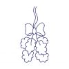 Bluework Thanksgiving Set 2 10 Machine Embroidery Designs - Image 9