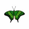 Butterflies 47 Machine Embroidery Designs - Image 19