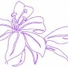 Continuous Line Lilies 10 Machine Embroidery Designs - Image 3