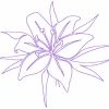 Continuous Line Lilies 10 Machine Embroidery Designs - Image 8