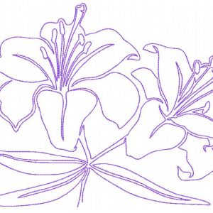 Continuous Line Lilies 10 Machine Embroidery Designs