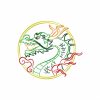 Color Outline Dragon 10 Machine Embroidery Designs Satin Outline - Image 3