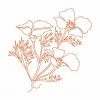 Free Motion California Poppy 10 Machine Embroidery Designs - Image 8