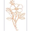 Free Motion Cherokee Rose 10 Machine Embroidery Designs - Image 10