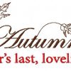 It´s Fall That´s All  12 Machine Embroidery Designs - Image 3
