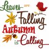 It´s Fall That´s All  12 Machine Embroidery Designs - Image 7