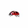 Lady Bugs 30 Machine Embroidery Designs - Image 3