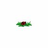 Lady Bugs 30 Machine Embroidery Designs - Image 12